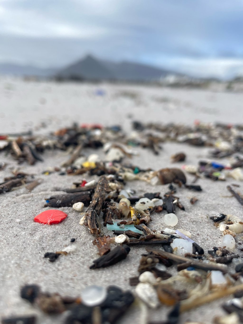 A typical high tideline view