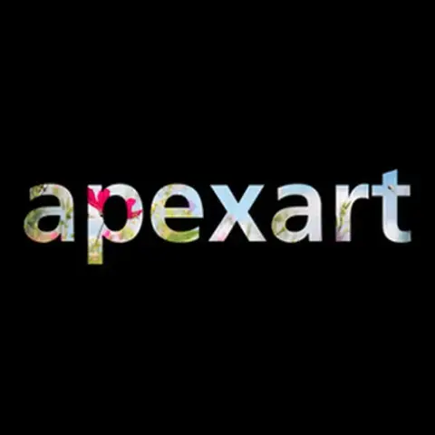 apexart