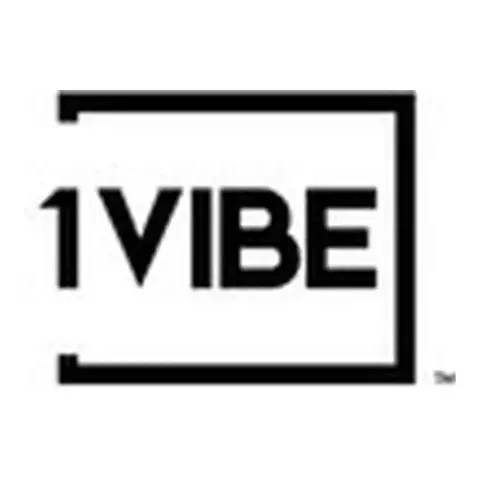 1VIBE Dance