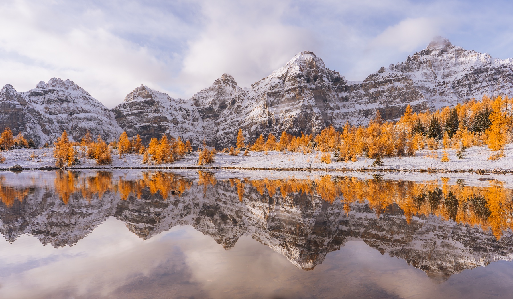 Larch Valley Reflection - Triptych
