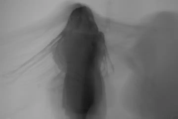 Shadow Series