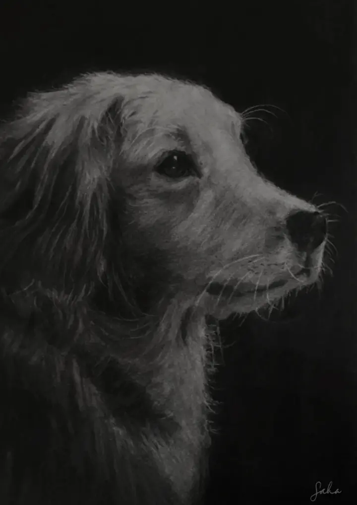 Gentle Golden Gaze