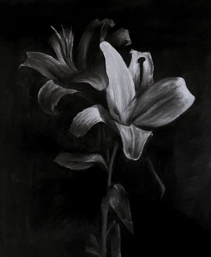 Lily