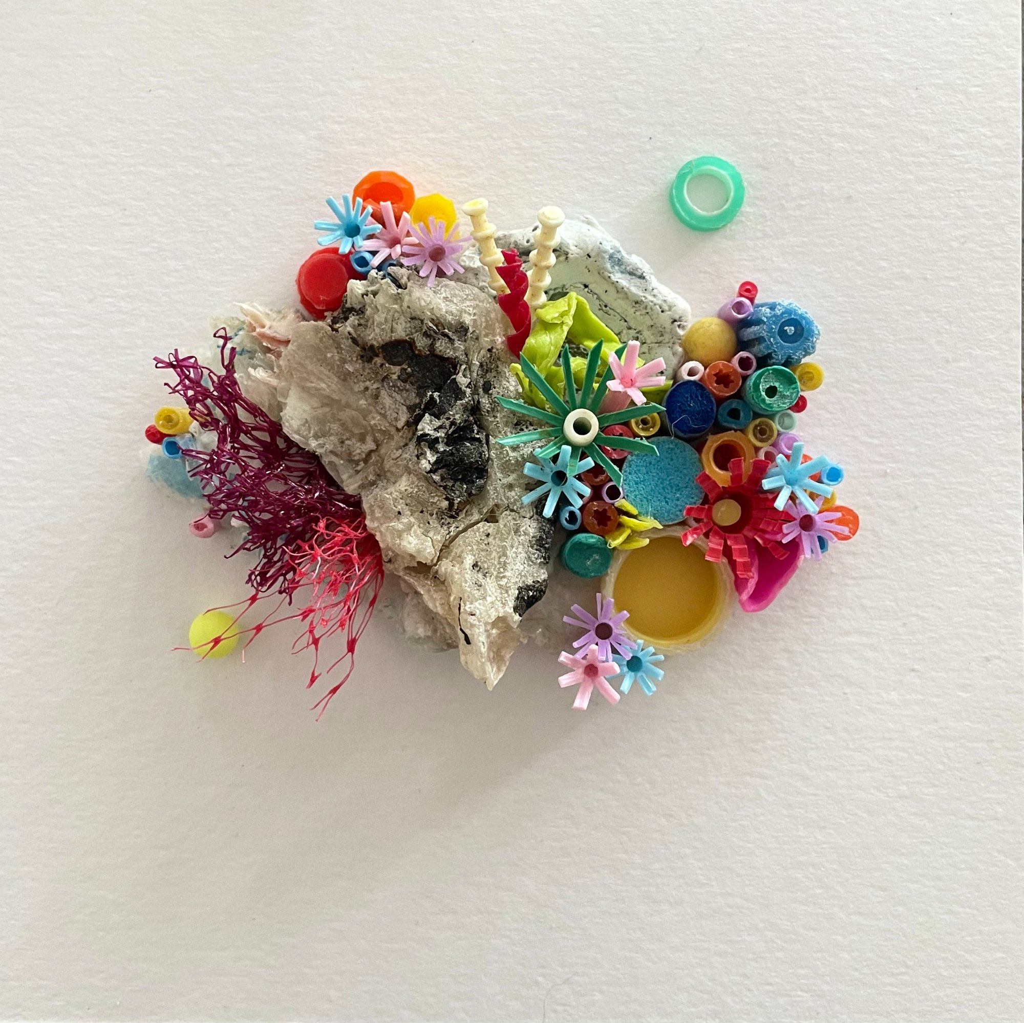 Mini coral reefs