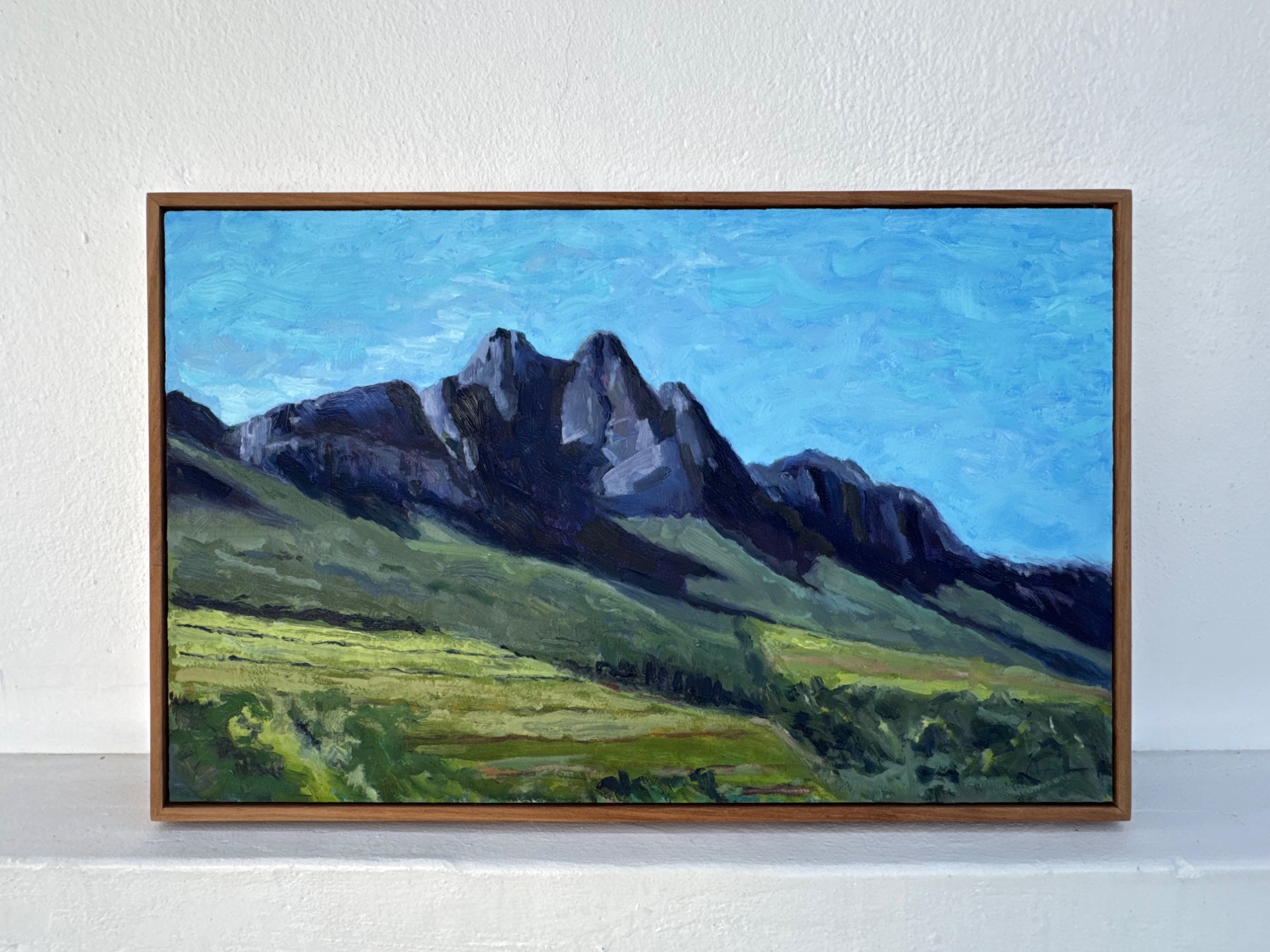 Pieke, Stellenbosch
