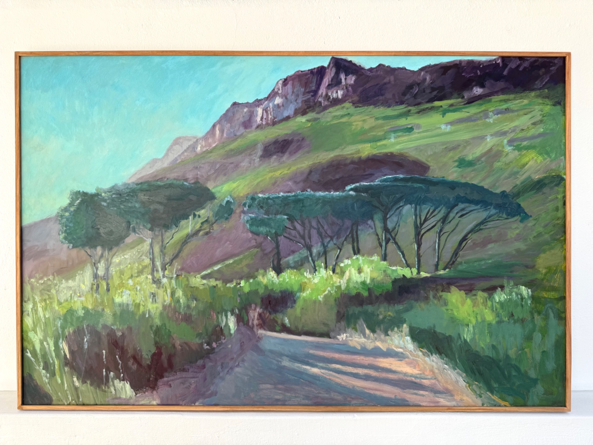 Stellenbosch Mountain at sunrise