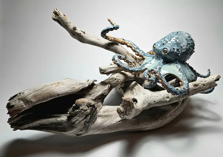 Blue Octopus on Driftwood