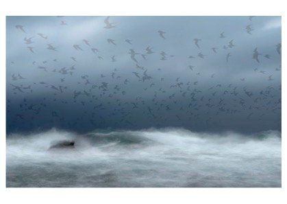 Stormy weather