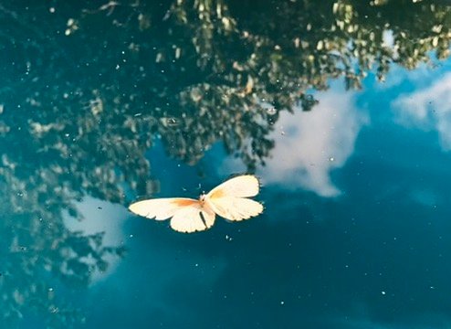 Drifting
