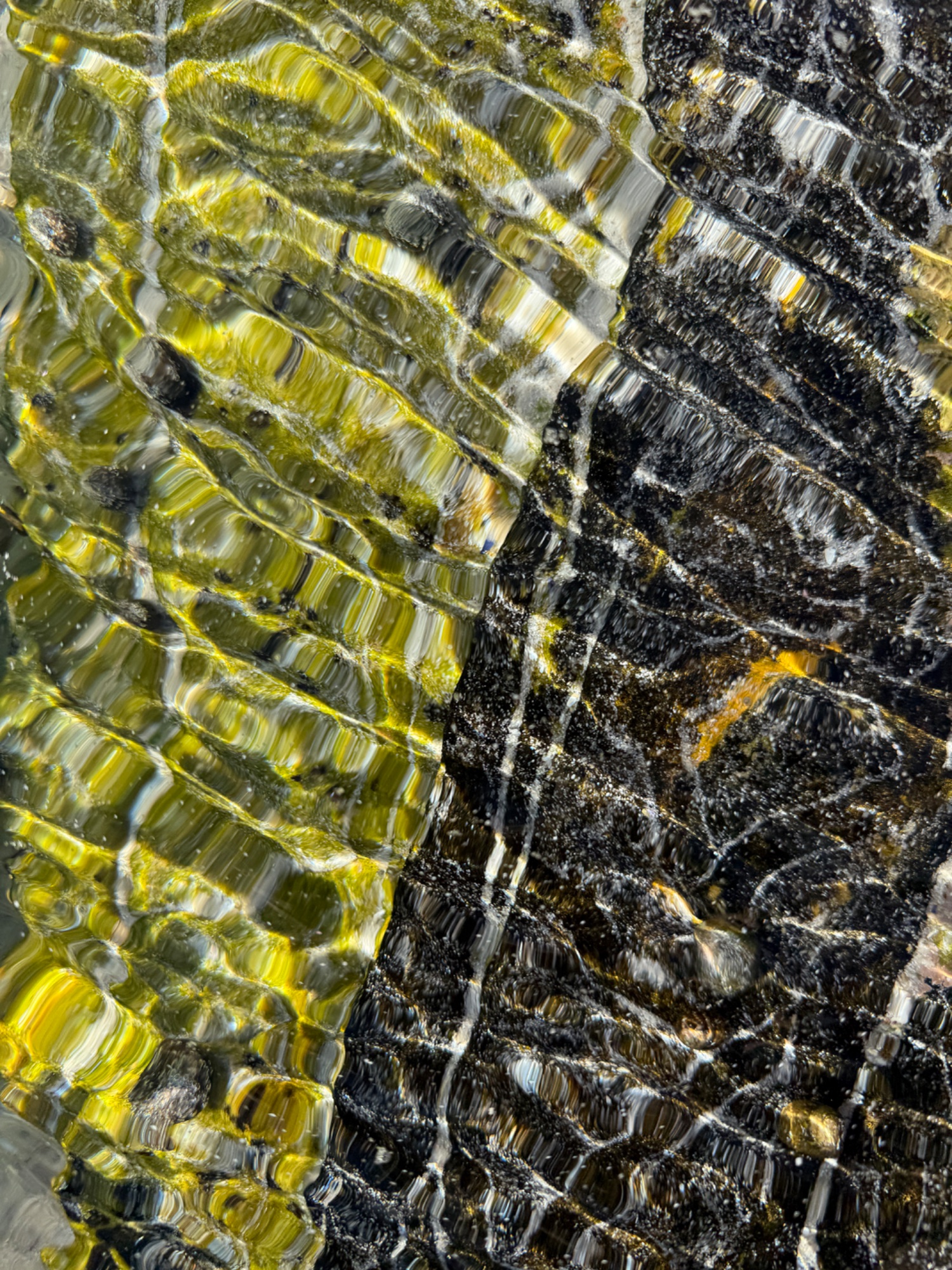 Natural Patterns