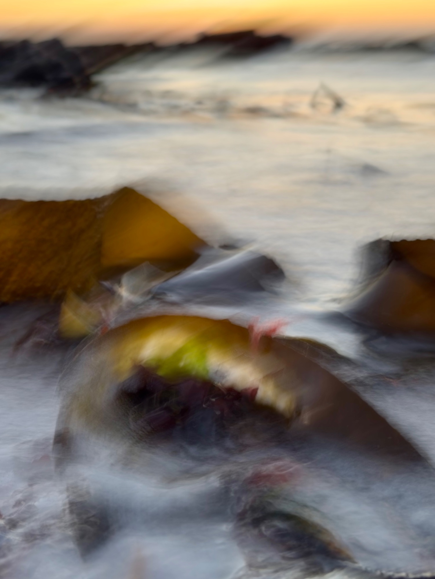 Kelp bliss