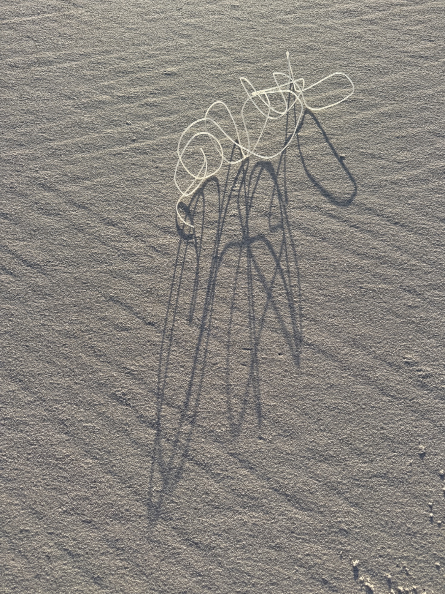 Waste shadow