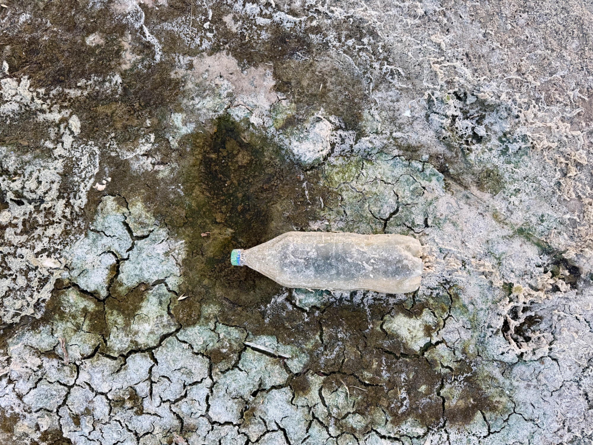 Message in a bottle