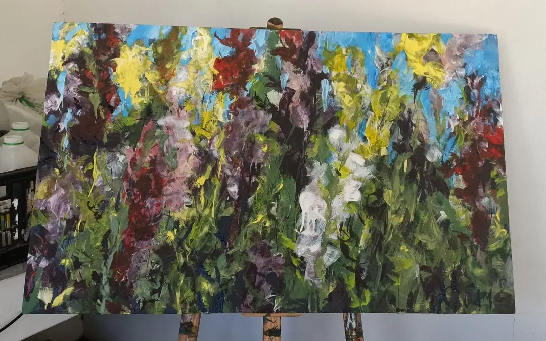 Gladiolus