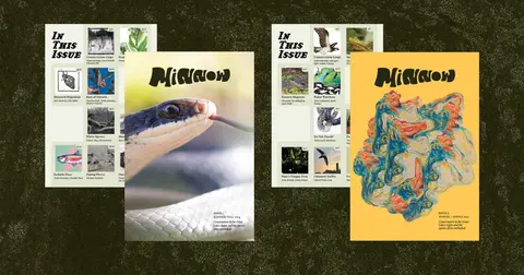 Minnow Magazine Issues 1 & 2