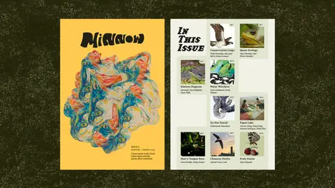 Minnow Magazine Issue 2