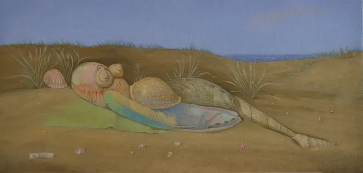 Arrangement of Shells in the Shape of a Woman