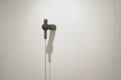 Dicipline