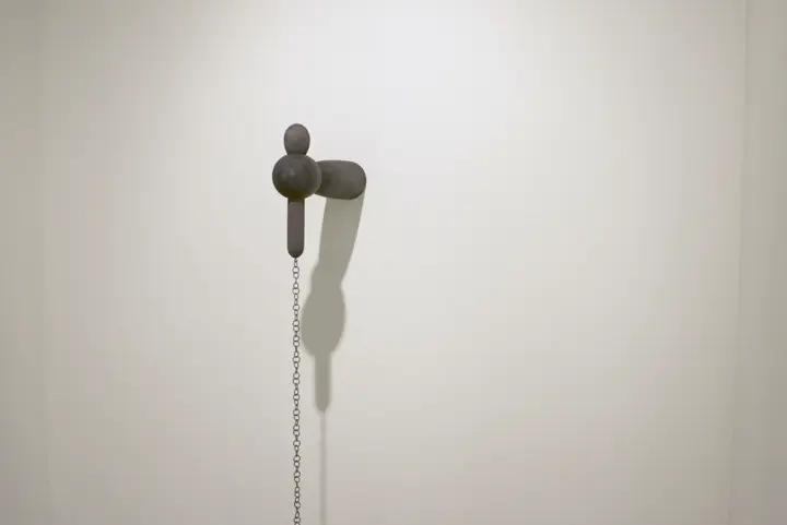 Dicipline