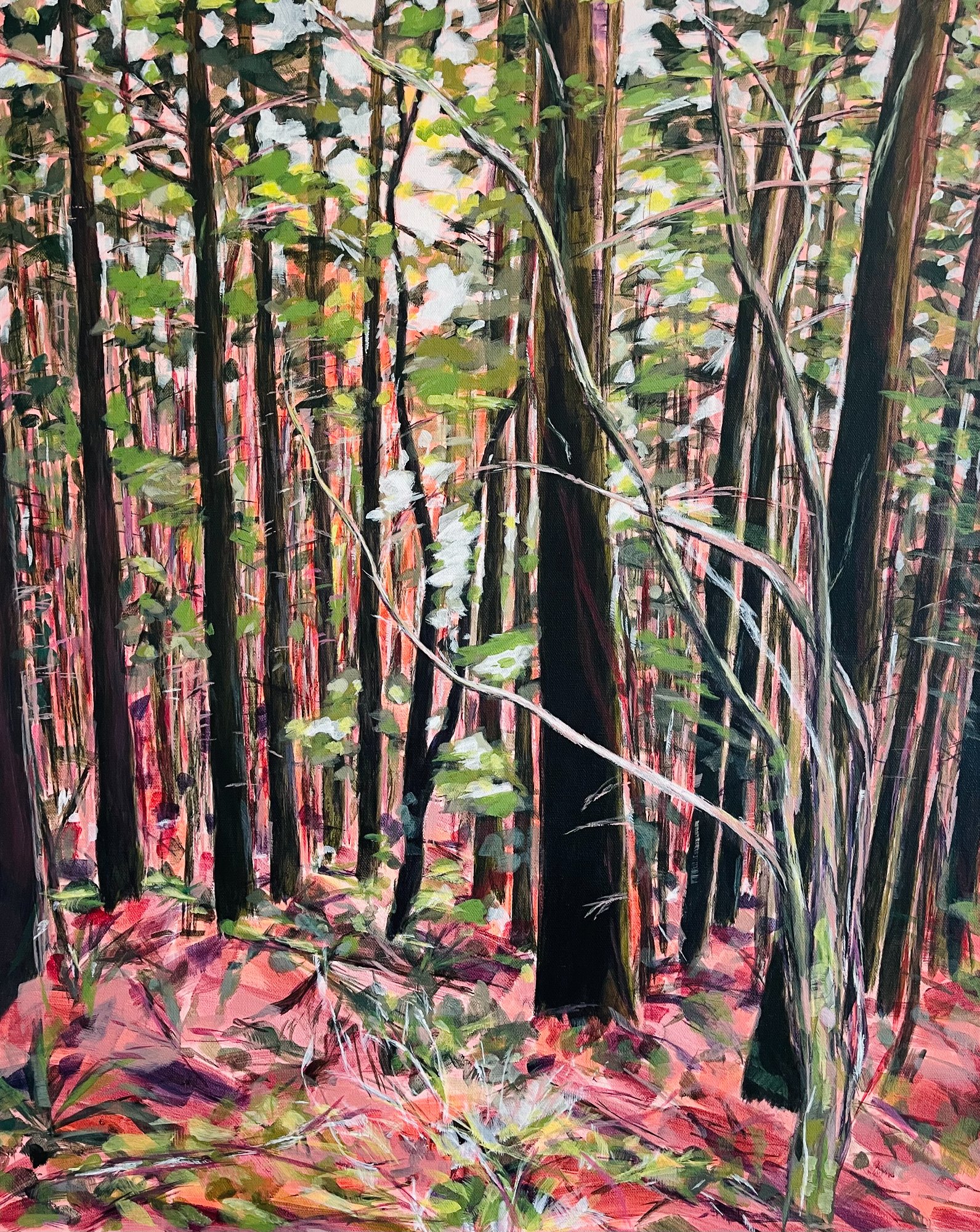 Forest Fantasy