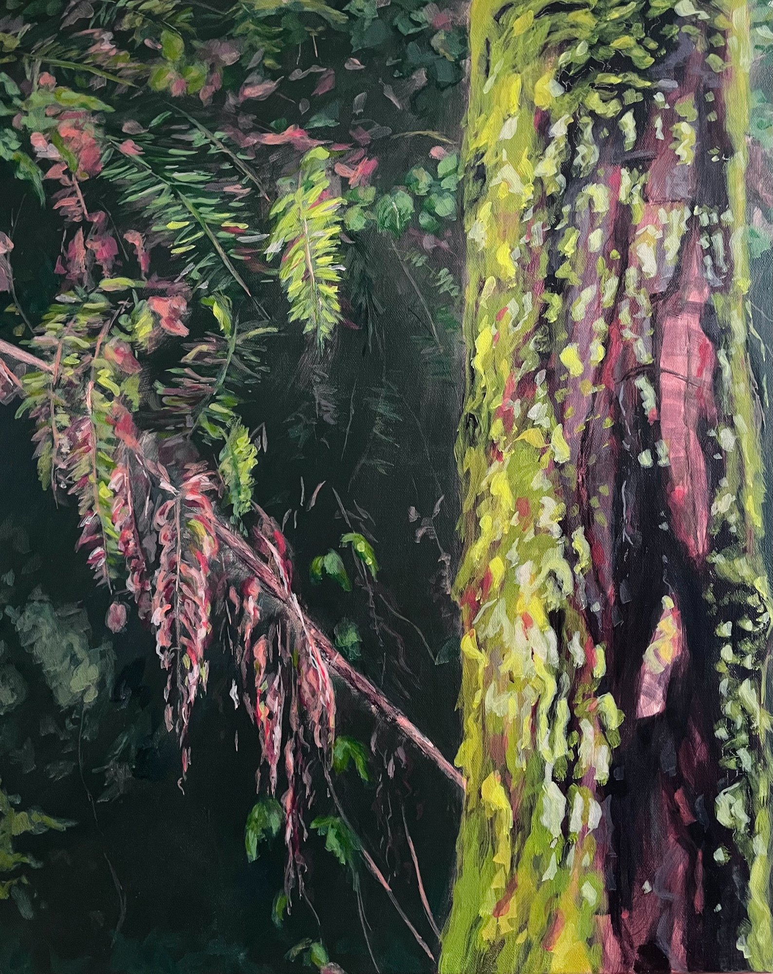 Tree Blooms
