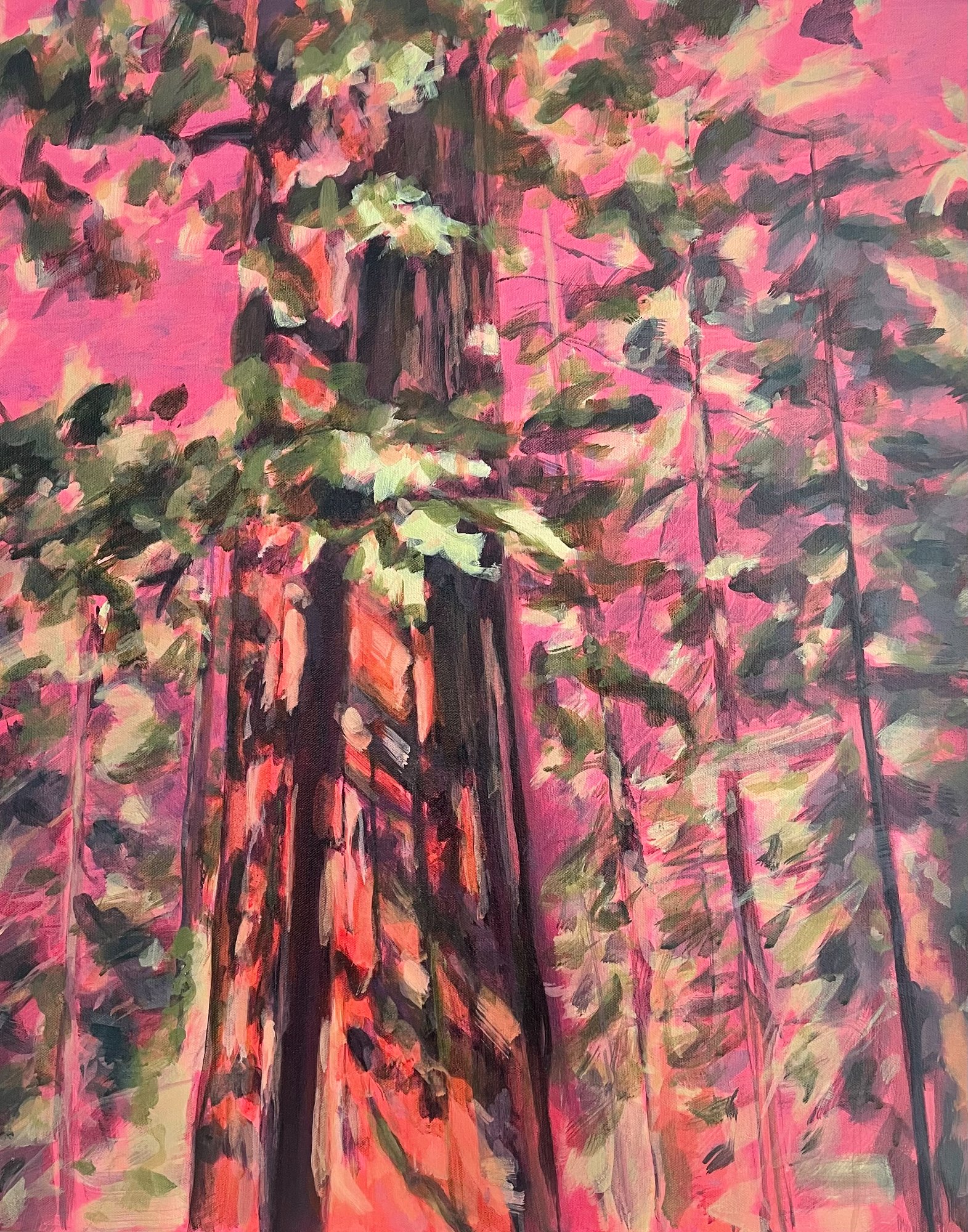 Forest Fantasy 5