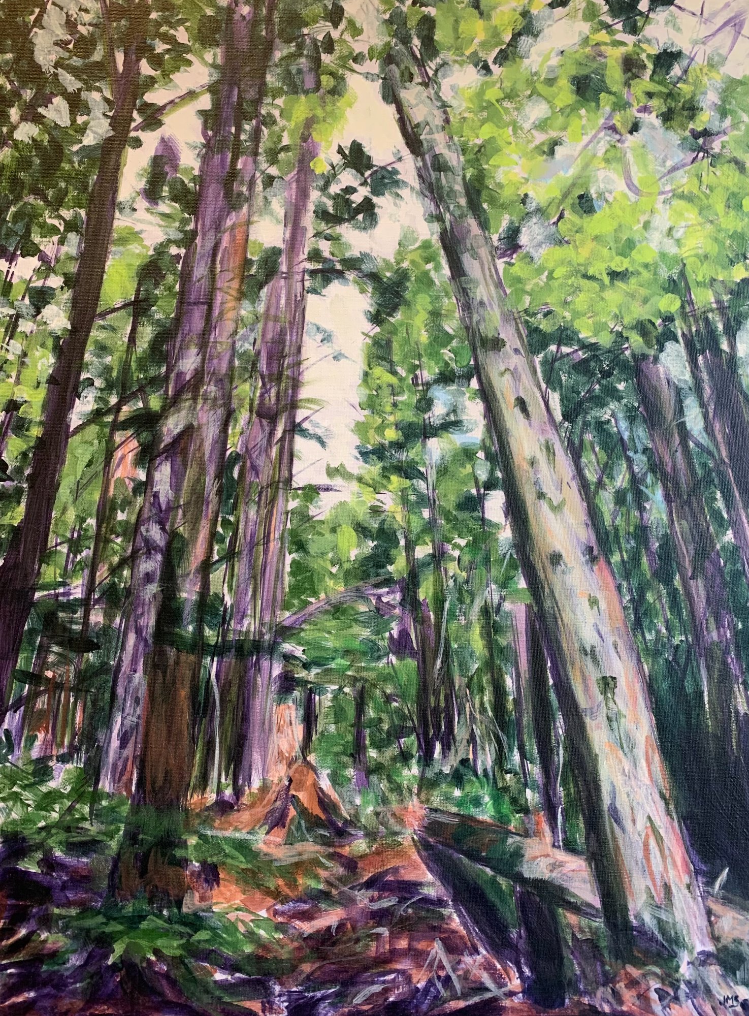 Forest Fantasy 6