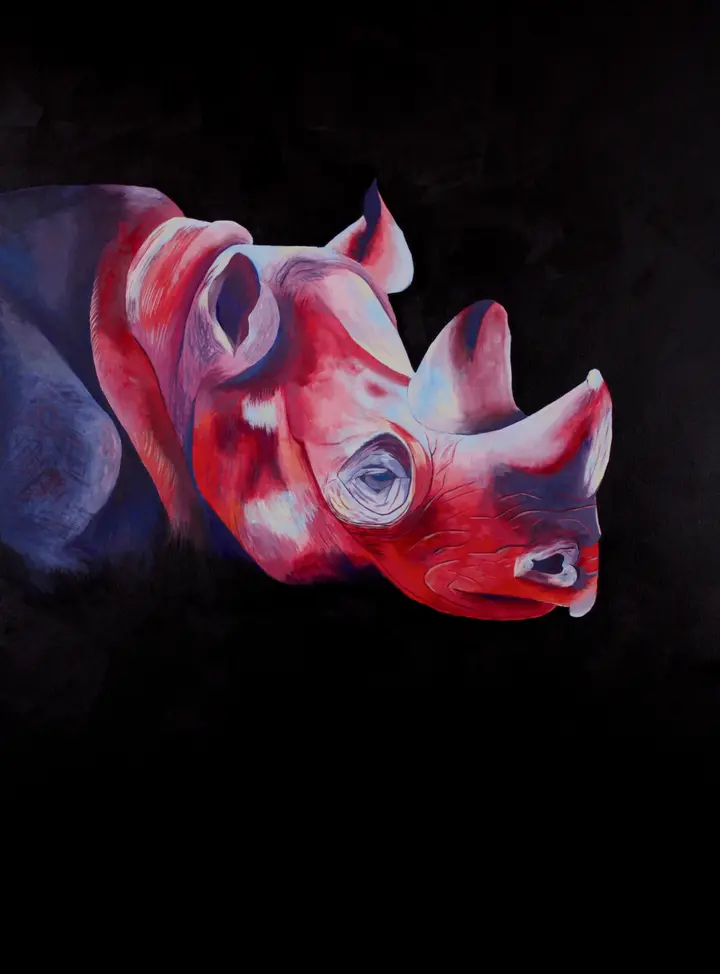 Rhino