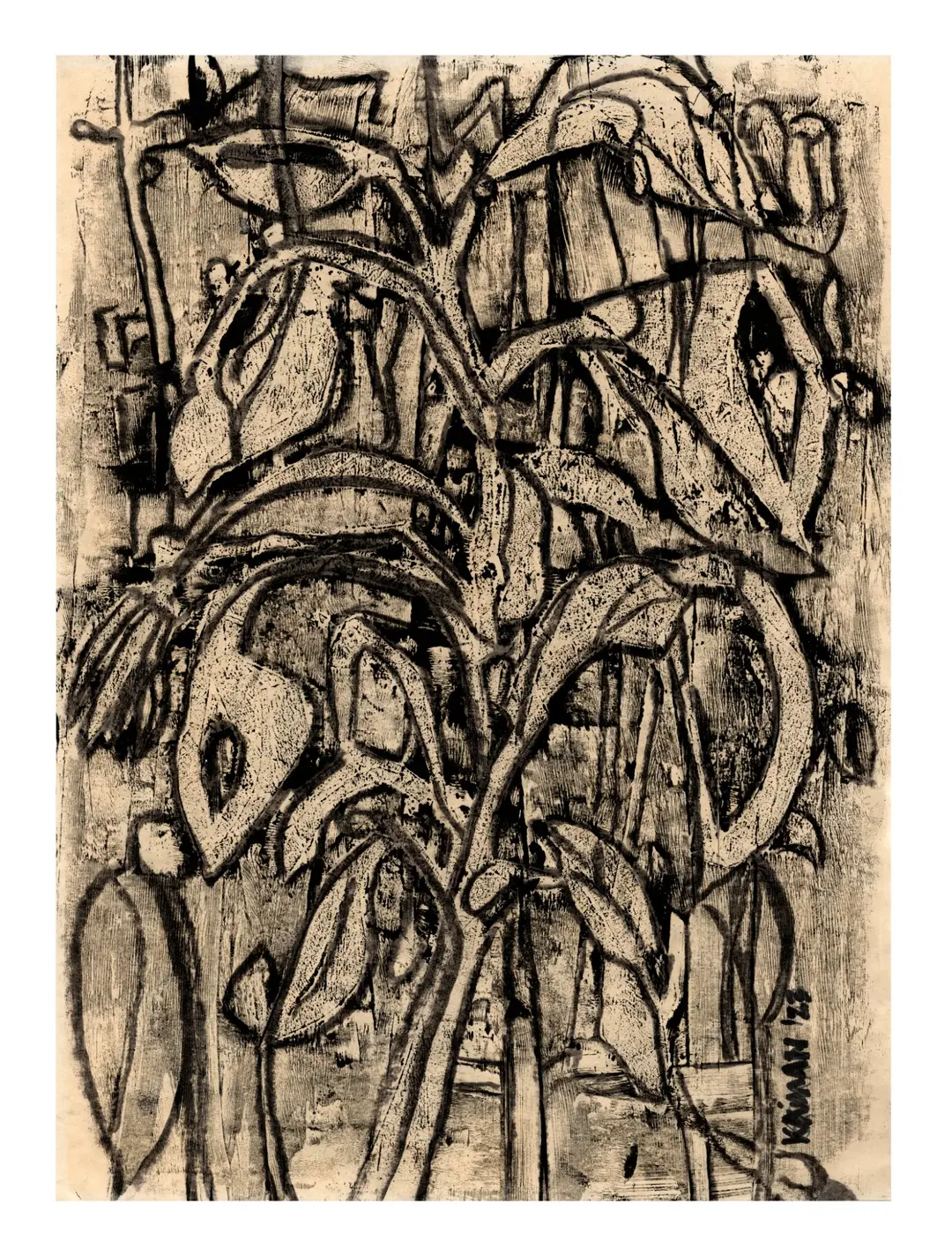 Lily Series