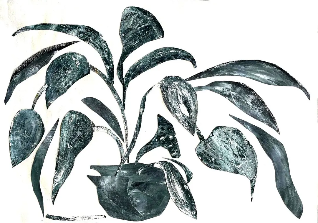 Jade Explosion and Spread of Green