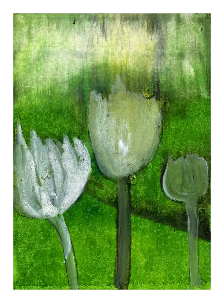 Frozen Tulips