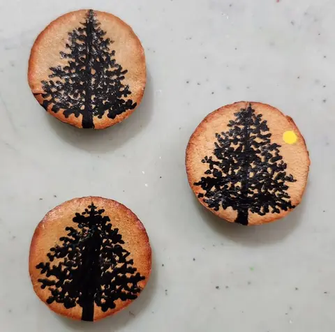 Avocado Seed Magnets