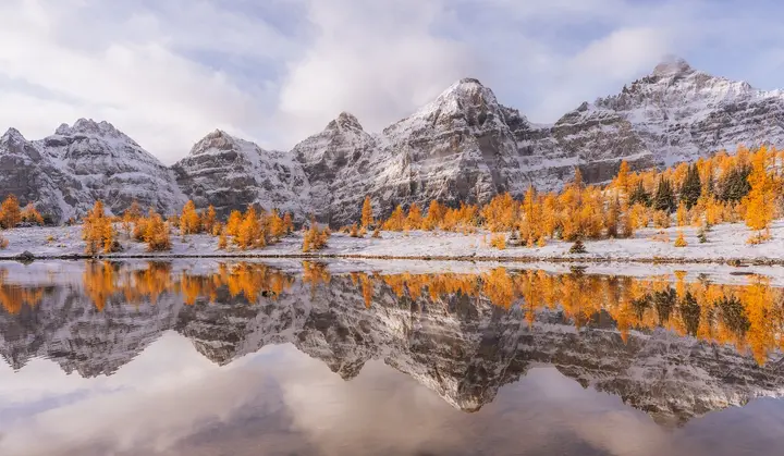 Larch Valley Reflection - Triptych