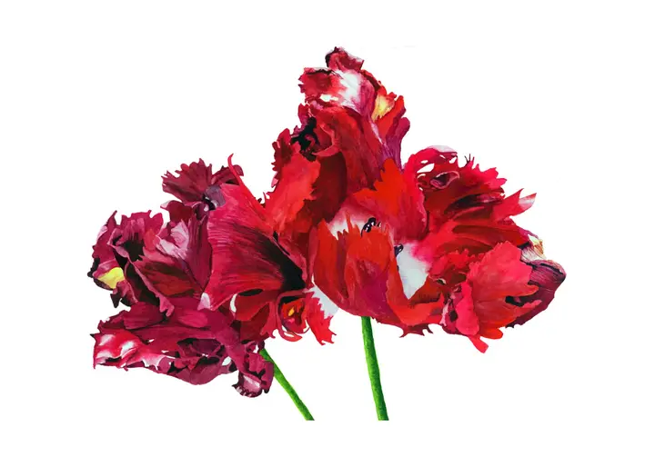 Ballet du printemps