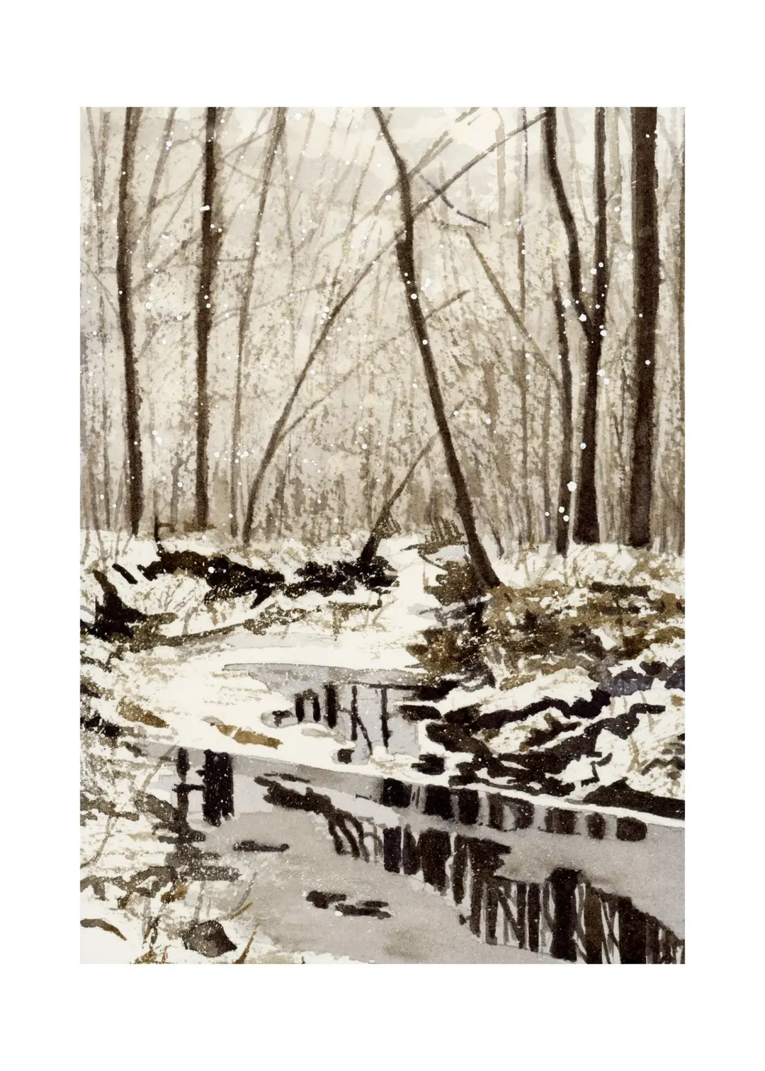 Winter Reflections