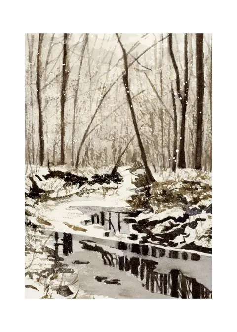 Winter Reflections