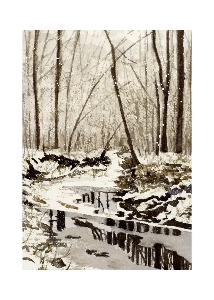 Winter Reflections